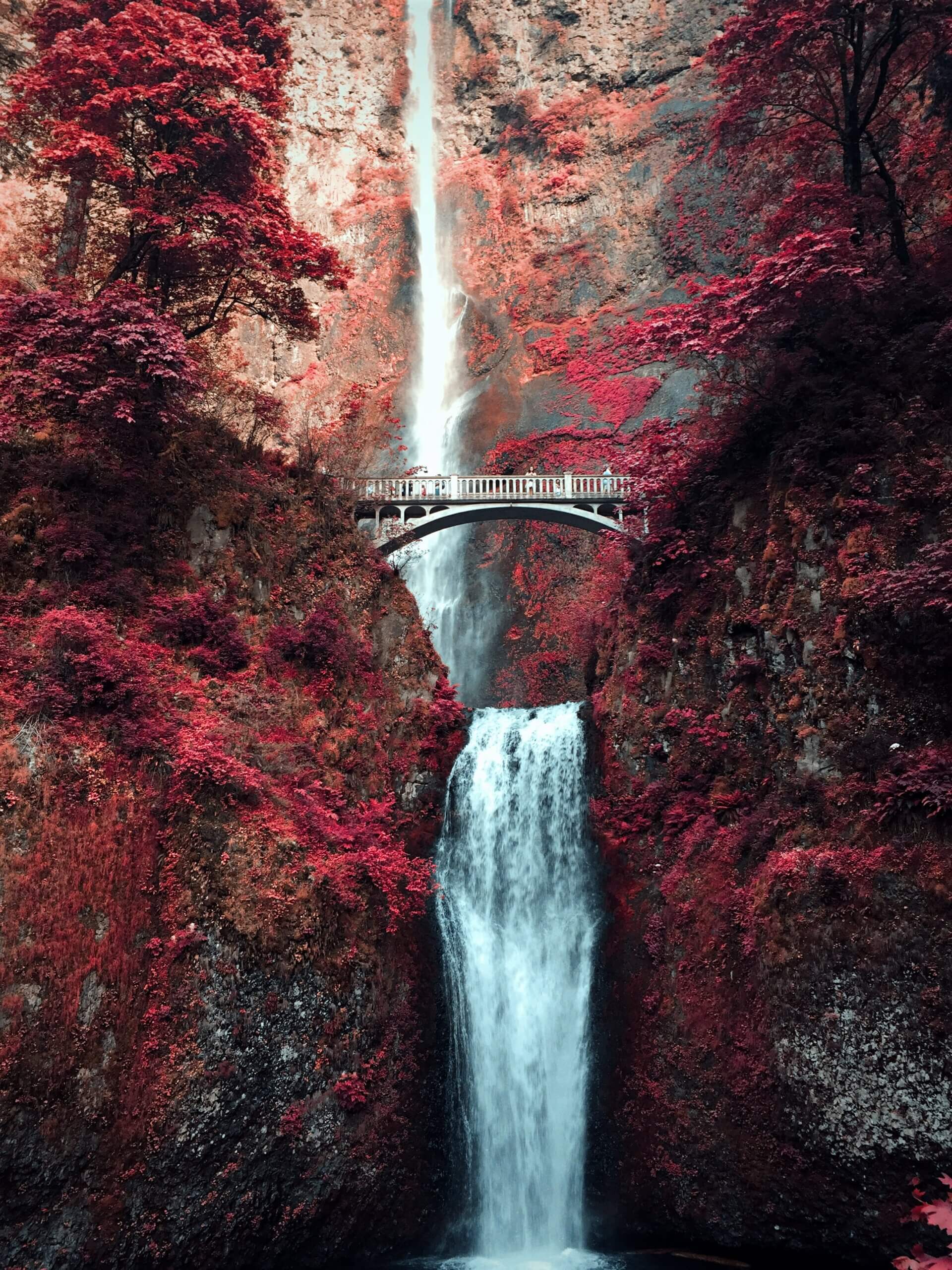 Die Multnomah Wasserfälle im Bundesstaat Oregon in den USA im Herbst.